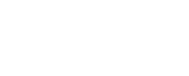 Deyee Robot